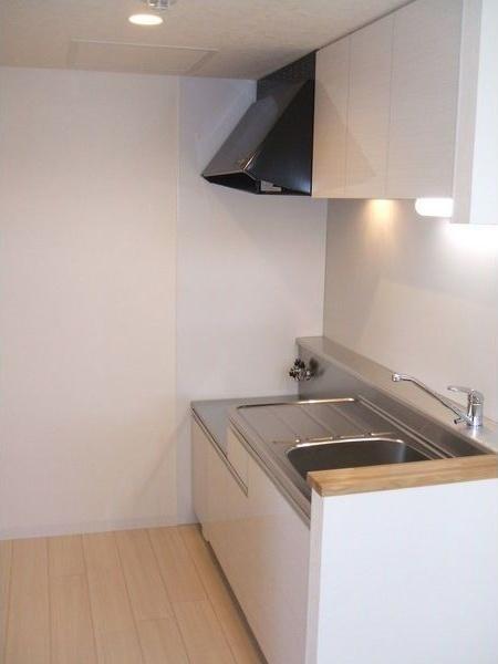 札幌市豊平区平岸一条8丁目のマンション(キッチン)