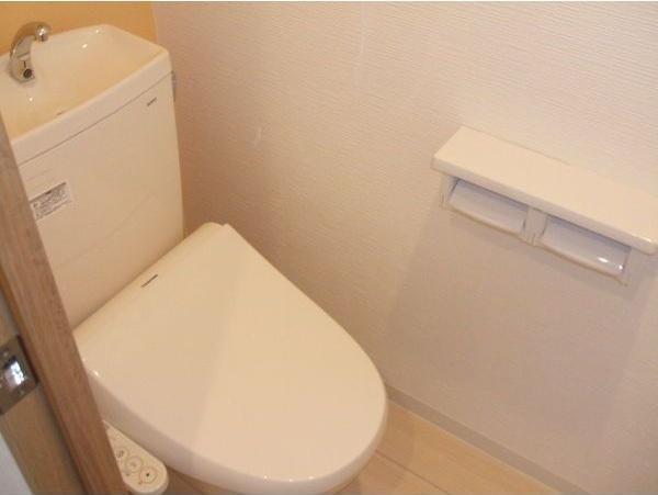 札幌市豊平区平岸一条8丁目のマンション(トイレ)