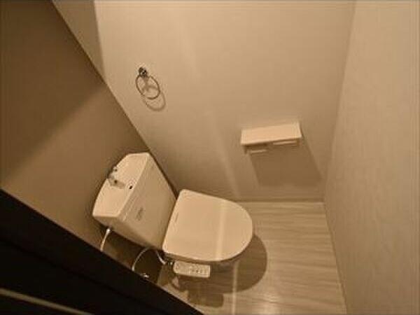 札幌市豊平区月寒東五条11丁目のマンション(トイレ)