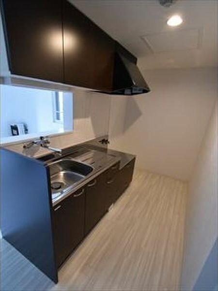 札幌市豊平区月寒東五条11丁目のマンション(キッチン)