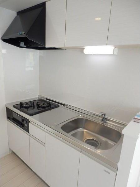 札幌市東区北四十三条東15丁目のマンション(キッチン)