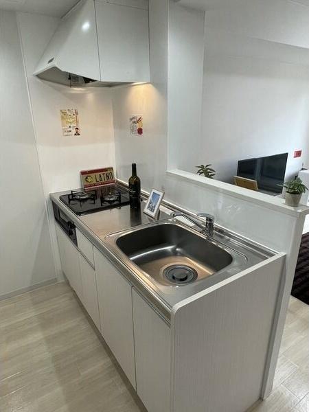 札幌市東区北二十一条東1丁目のマンション(キッチン)