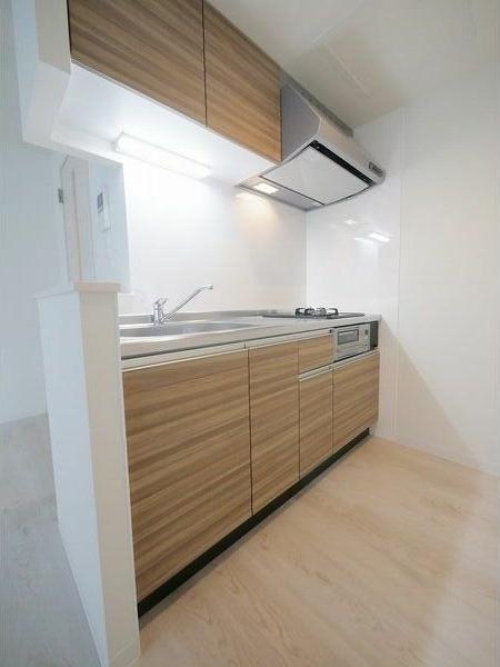 札幌市中央区南十一条西8丁目のマンション(キッチン)