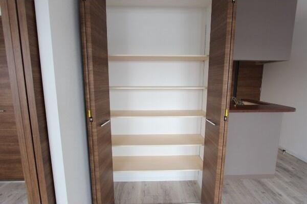 札幌市西区山の手三条2丁目のマンション(収納)