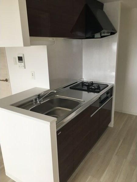 札幌市西区宮の沢一条5丁目のマンション(キッチン)