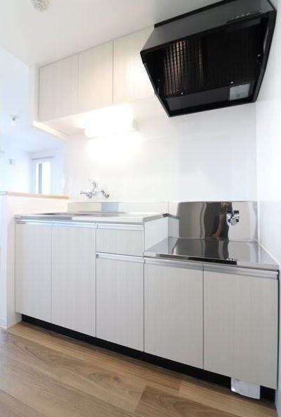 札幌市西区西野一条2丁目のマンション(キッチン)