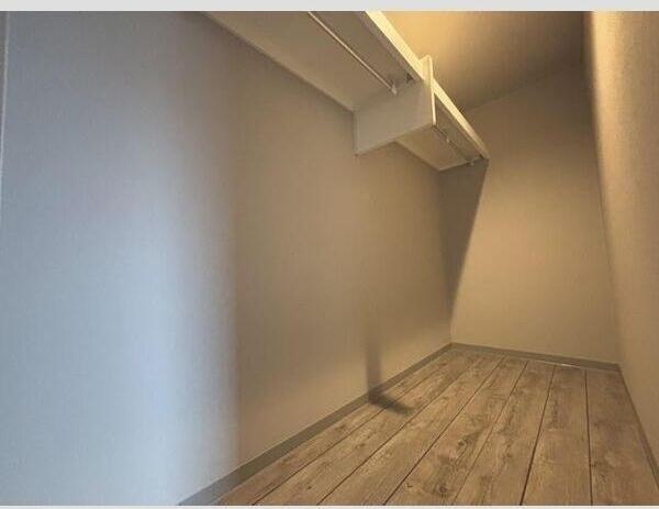 札幌市豊平区平岸二条15丁目のマンション(収納)