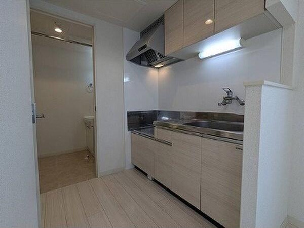 札幌市中央区南六条西18丁目のマンション(キッチン)