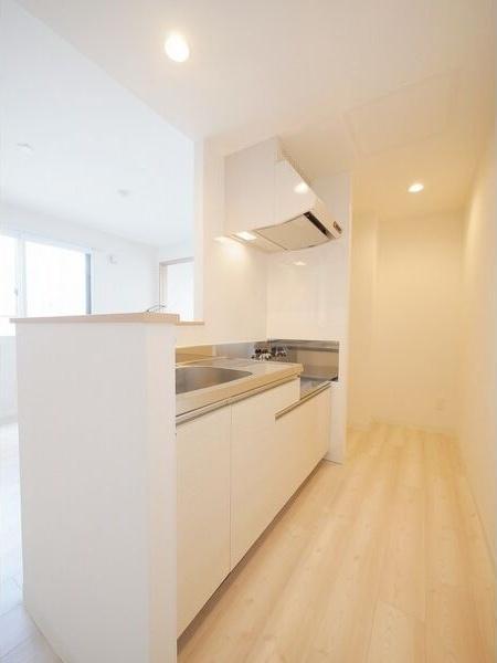 札幌市白石区菊水七条1丁目のマンション(キッチン)