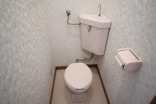 デイジーコート