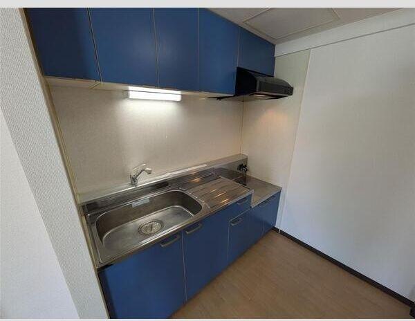 札幌市厚別区厚別中央二条１丁目のマンション