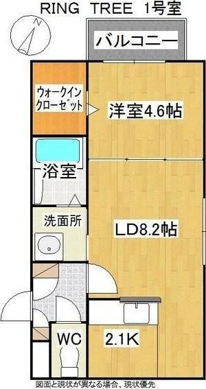 RINGTREE(リングツリー)