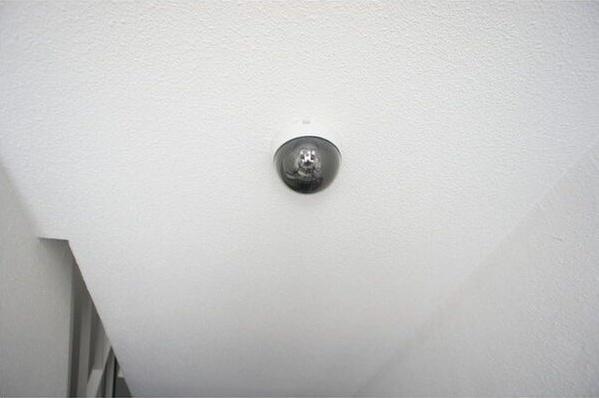 グランメール新道東駅２