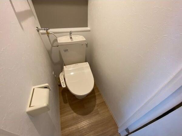 YsTSUKISAMU(ワイズ月寒)