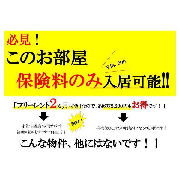 AYコート北31条