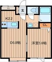 COLLINS・42