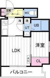 Aster　N13