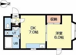S-court17