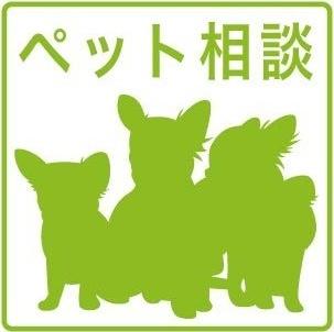 札幌市豊平区豊平五条３丁目のマンション
