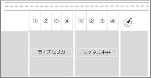 シャネル中井