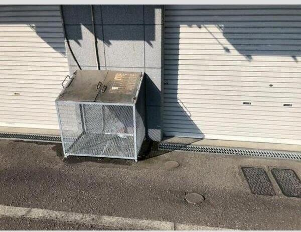 アウルの杜宮の沢