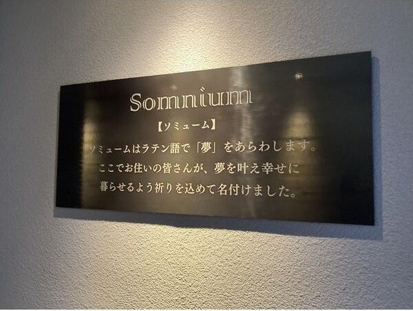ソミューム発寒南