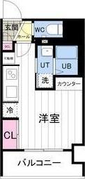 Aster　N13