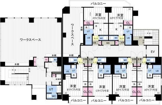 Aster　N13