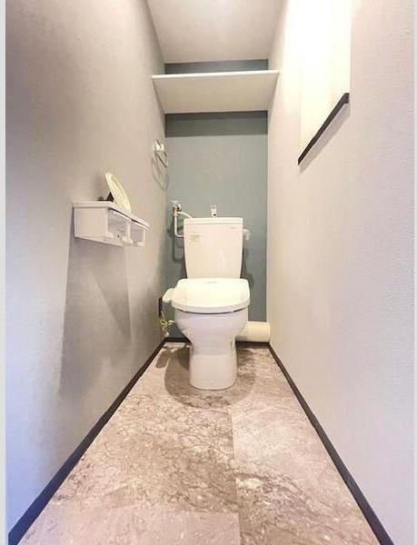Aster　N13