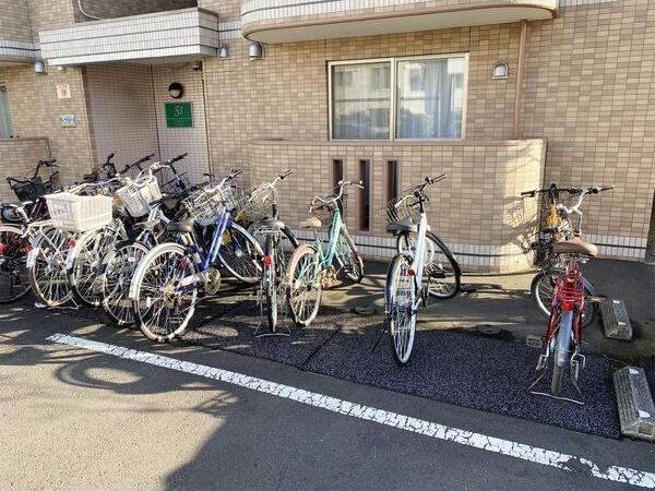 セントポーリアアイリス