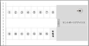 セントポーリアアイリス