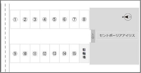 セントポーリアアイリス