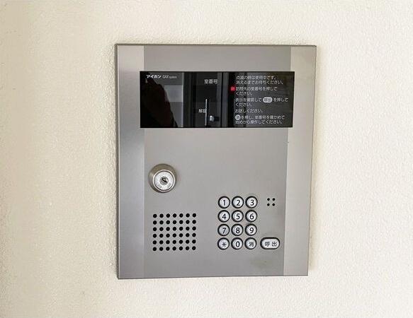 セントポーリアアイリス