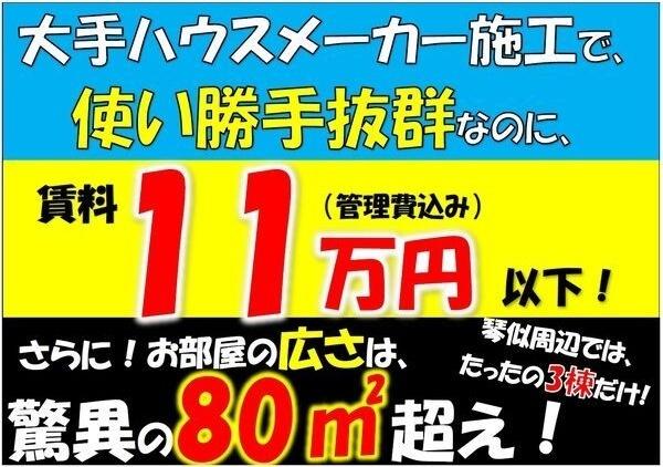 ミモザA