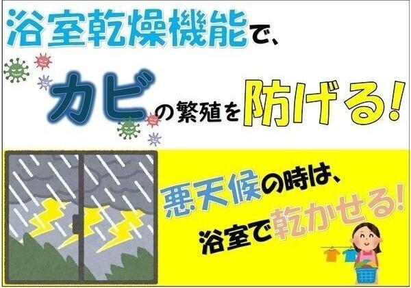 ミモザA