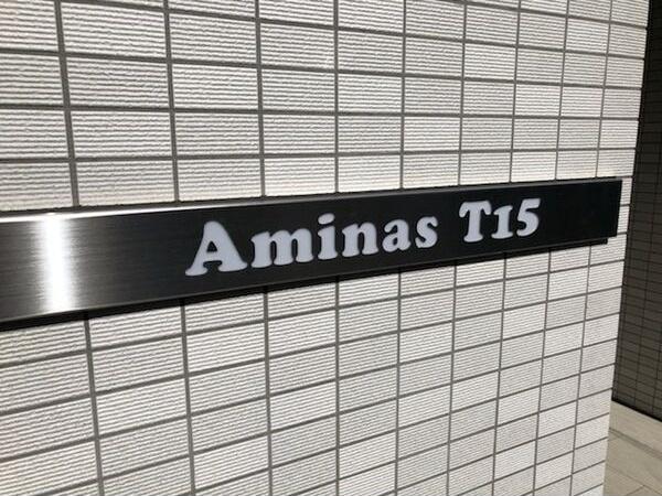 AminasT15