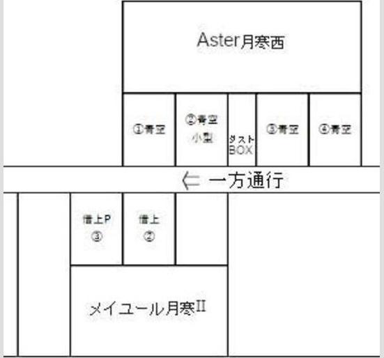 Aster月寒西