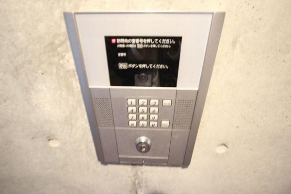 アルバミュウ811