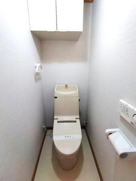 バルーンフラワー