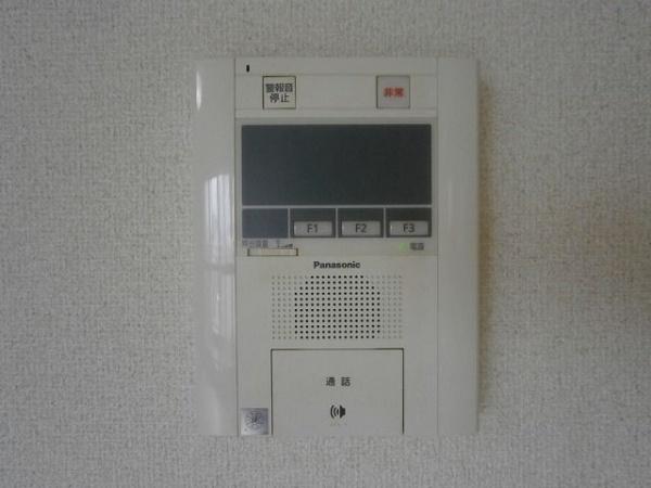 プロシード本通