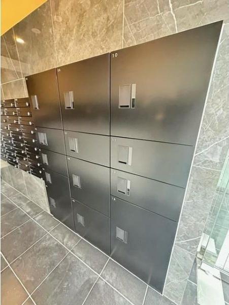 Aster　N13