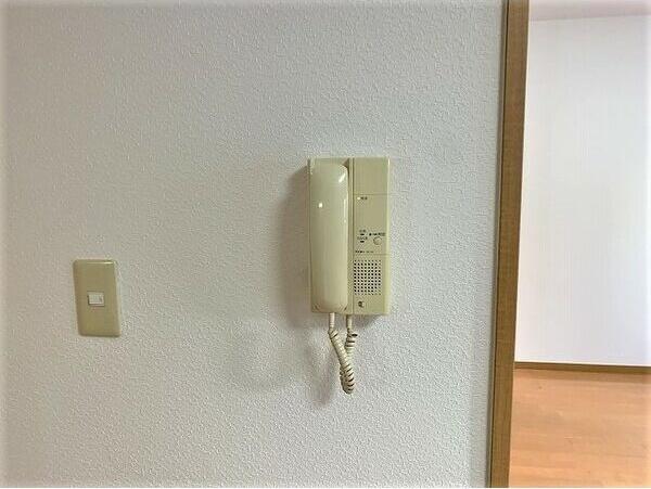 アミィヒルズ