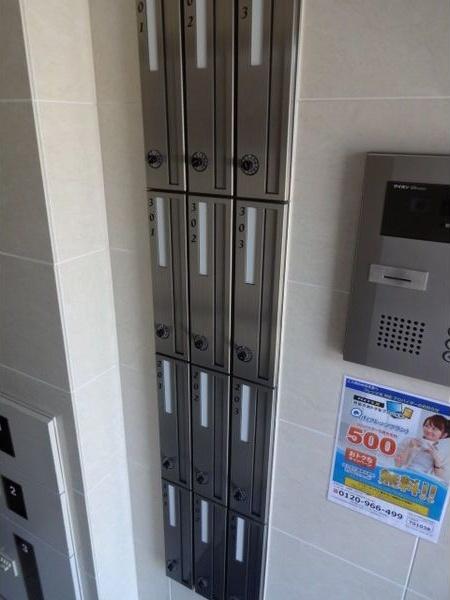 LumiereKikusui