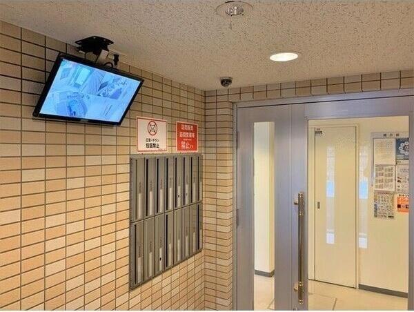セントポーリアブライト