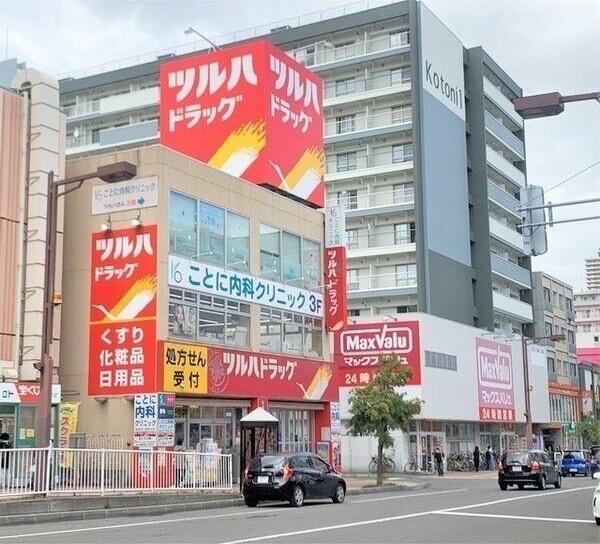 セントポーリアブライト