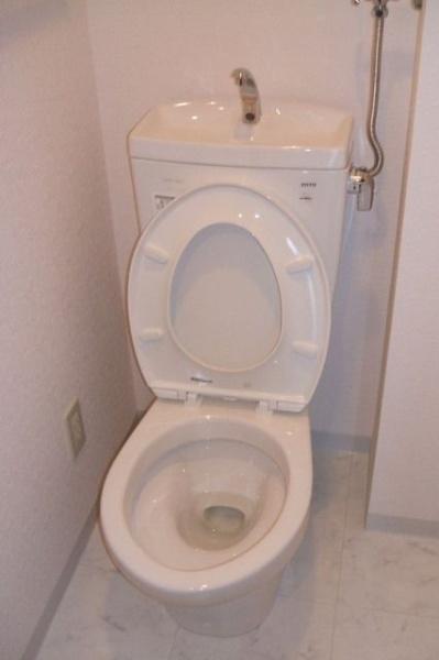 ベルクフルス