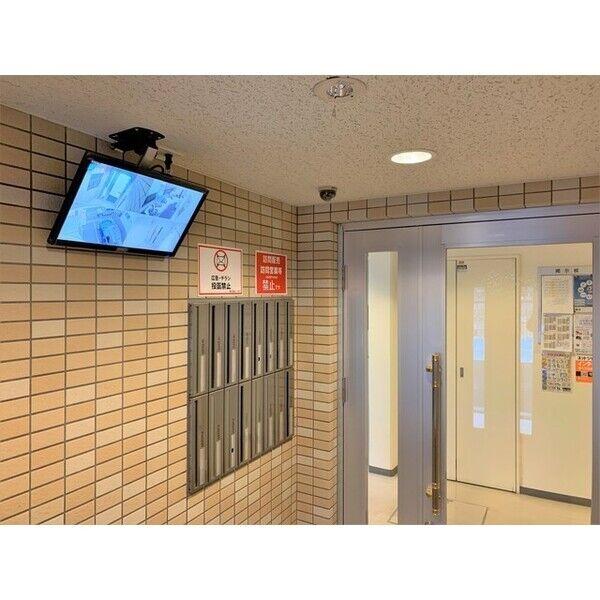 セントポーリアブライト