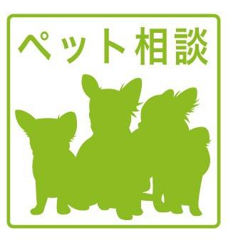 グランメールWEST9