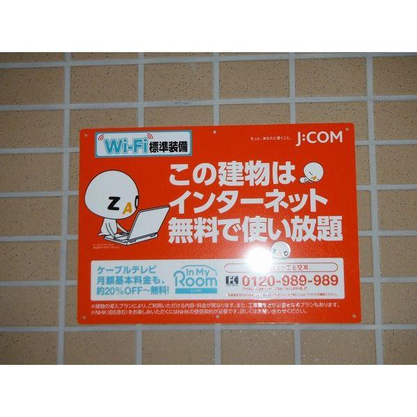 エクセラン20