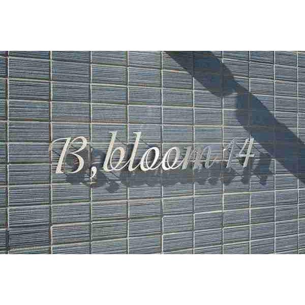 B,bloom14(ブルーム14)